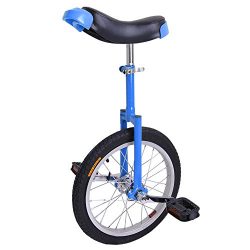 Eye-Catching Blue 16 Inch In Mountain Bike Wheel 16″ Rim Metal Frame Unicycle Cycling Bike ...