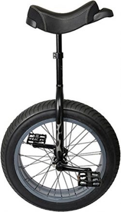 Sun XL Unicycle 20″ x 4-1/4″ Black