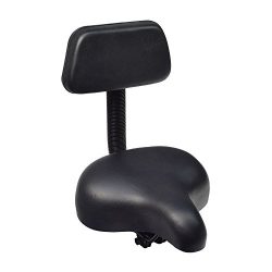 Deluxe Comfort Bike Saddle Seat with Backrest