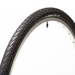 Panaracer Tour Guard Plus Tire with Wire Bead, 700 x 32C