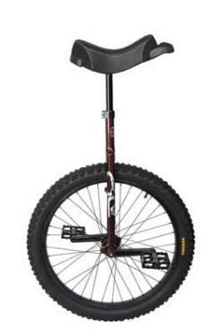 SUN BICYCLES Flat Top OR