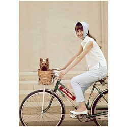 Audrey Hepburn Riding Bike on Backlot with Dog in Basket Smiling 8 x 10 Photo